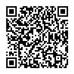Link zu deiner Spendenaktion QRCode - Fundraising