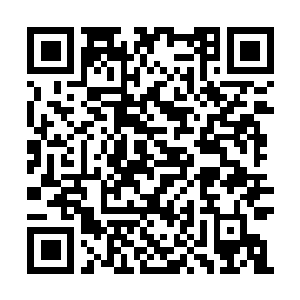 Link zu deiner Spendenaktion QRCode - Fundraising