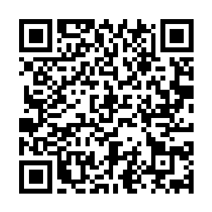 Link zu deiner Spendenaktion QRCode - Fundraising