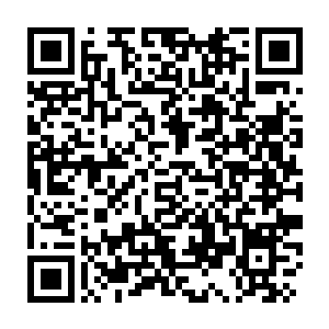 Link zu deiner Spendenaktion QRCode - Fundraising