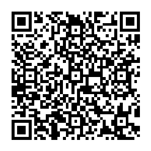 Link zu deiner Spendenaktion QRCode - Fundraising