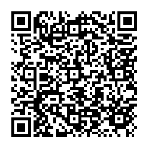 Link zu deiner Spendenaktion QRCode - Fundraising
