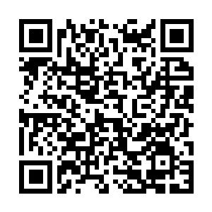 Link zu deiner Spendenaktion QRCode - Fundraising