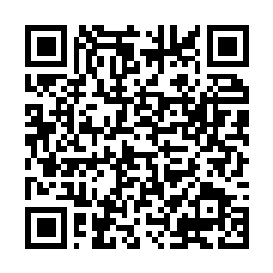 Link zu deiner Spendenaktion QRCode - Fundraising