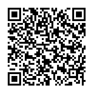 Link zu deiner Spendenaktion QRCode - Fundraising