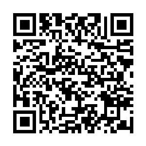 Link zu deiner Spendenaktion QRCode - Fundraising