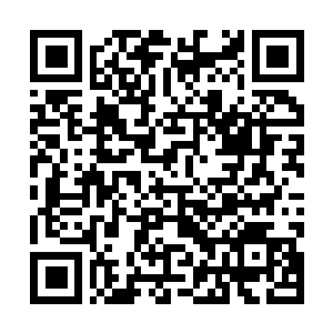 Link zu deiner Spendenaktion QRCode - Fundraising