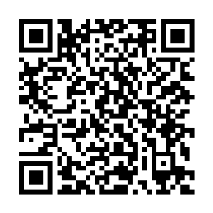 Link zu deiner Spendenaktion QRCode - Fundraising