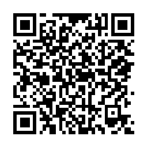 Link zu deiner Spendenaktion QRCode - Fundraising