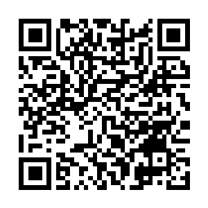 Link zu deiner Spendenaktion QRCode - Fundraising