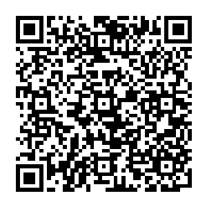 Link zu deiner Spendenaktion QRCode - Fundraising