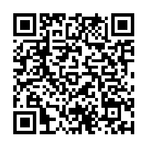 Link zu deiner Spendenaktion QRCode - Fundraising