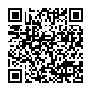 Link zu deiner Spendenaktion QRCode - Fundraising