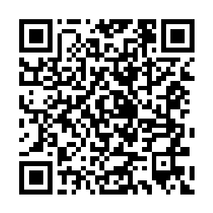 Link zu deiner Spendenaktion QRCode - Fundraising
