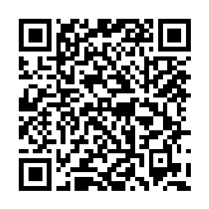 Link zu deiner Spendenaktion QRCode - Fundraising