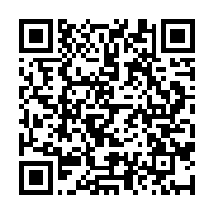 Link zu deiner Spendenaktion QRCode - Fundraising