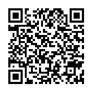 Link zu deiner Spendenaktion QRCode - Fundraising