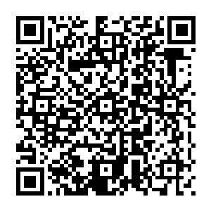 Link zu deiner Spendenaktion QRCode - Fundraising