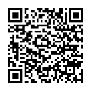 Link zu deiner Spendenaktion QRCode - Fundraising
