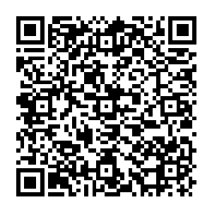 Link zu deiner Spendenaktion QRCode - Fundraising