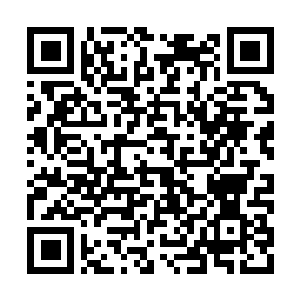 Link zu deiner Spendenaktion QRCode - Fundraising