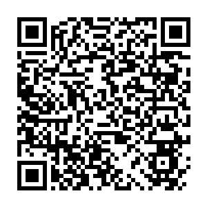 Link zu deiner Spendenaktion QRCode - Fundraising