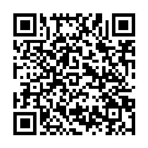 Link zu deiner Spendenaktion QRCode - Fundraising