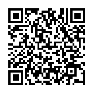 Link zu deiner Spendenaktion QRCode - Fundraising
