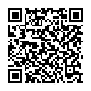Link zu deiner Spendenaktion QRCode - Fundraising