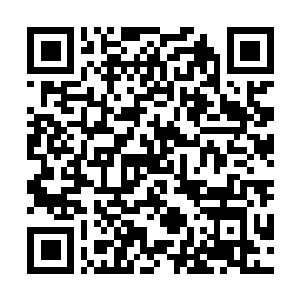Link zu deiner Spendenaktion QRCode - Fundraising