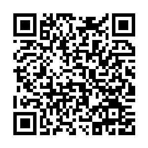Link zu deiner Spendenaktion QRCode - Fundraising