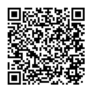 Link zu deiner Spendenaktion QRCode - Fundraising