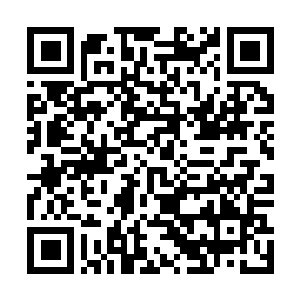 Link zu deiner Spendenaktion QRCode - Fundraising