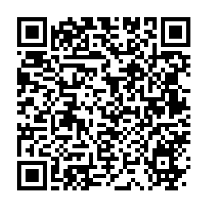 Link zu deiner Spendenaktion QRCode - Fundraising