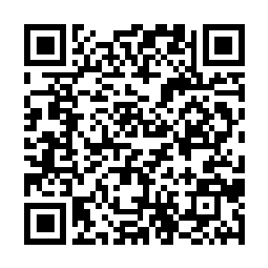 Link zu deiner Spendenaktion QRCode - Fundraising
