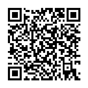 Link zu deiner Spendenaktion QRCode - Fundraising