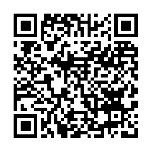Link zu deiner Spendenaktion QRCode - Fundraising