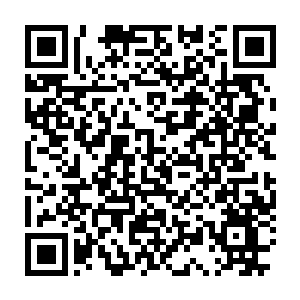 Link zu deiner Spendenaktion QRCode - Fundraising