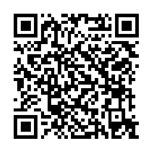 Link zu deiner Spendenaktion QRCode - Fundraising