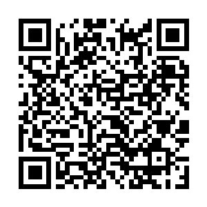 Link zu deiner Spendenaktion QRCode - Fundraising