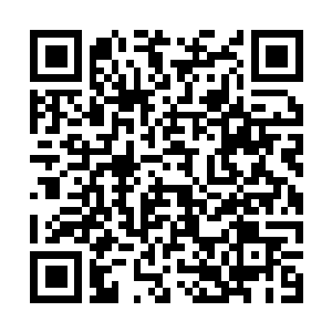 Link zu deiner Spendenaktion QRCode - Fundraising