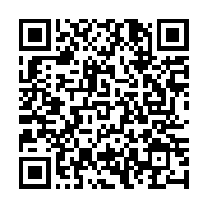 Link zu deiner Spendenaktion QRCode - Fundraising
