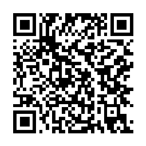 Link zu deiner Spendenaktion QRCode - Fundraising