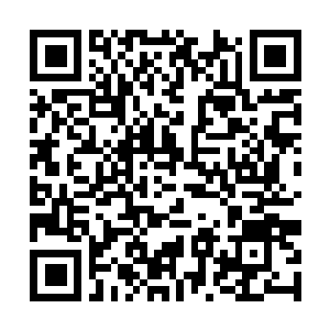 Link zu deiner Spendenaktion QRCode - Fundraising