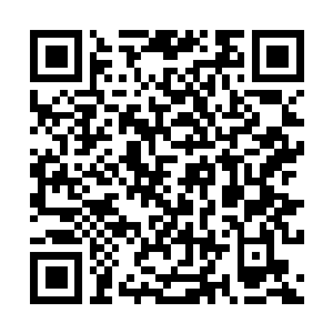 Link zu deiner Spendenaktion QRCode - Fundraising
