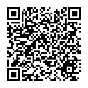 Link zu deiner Spendenaktion QRCode - Fundraising