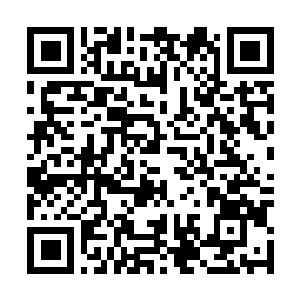 Link zu deiner Spendenaktion QRCode - Fundraising