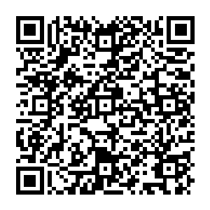 Link zu deiner Spendenaktion QRCode - Fundraising