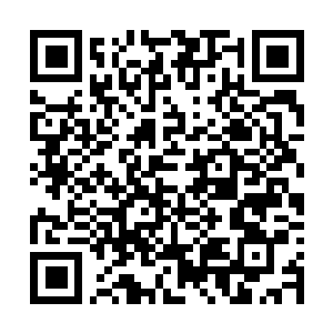 Link zu deiner Spendenaktion QRCode - Fundraising