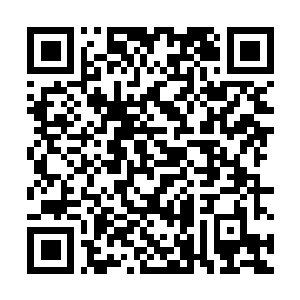 Link zu deiner Spendenaktion QRCode - Fundraising